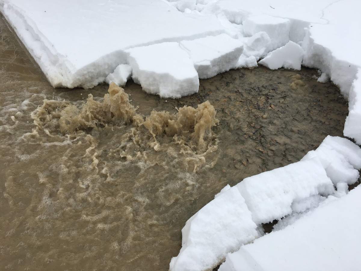Water gushes on Sinclair Avenue Friday.