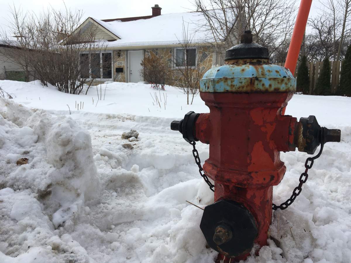 A family dog died after smoke filled this home on Hartford Avenue. 