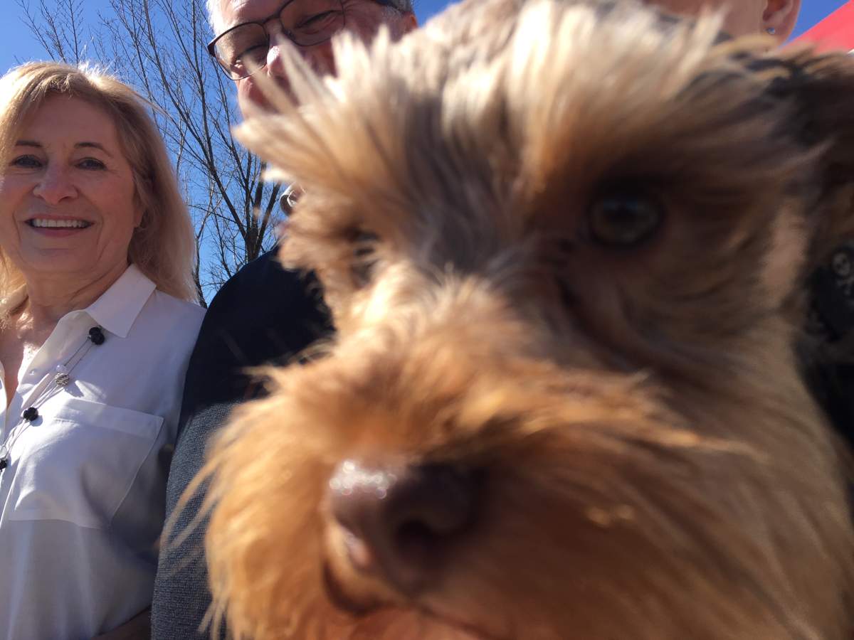 Charlie the rescue dog poses for a picture on Thursday, March 21.