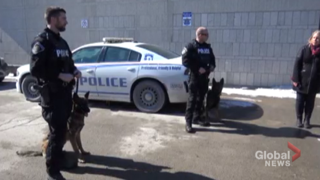The Peterborough Police Service has bolstered its ranks, with the addition of two new four-legged members.