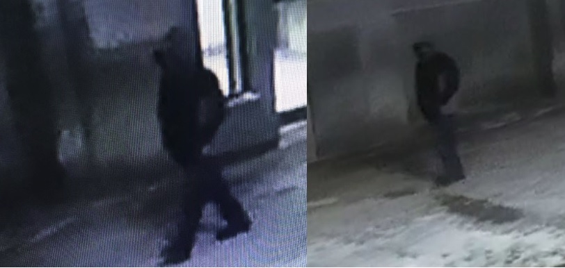 Investigators have released the above photos of a suspect wanted in connection with a knifepoint robbery case. 