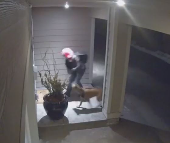 Courtesy: Joan Sheppard/ Global Okanagan