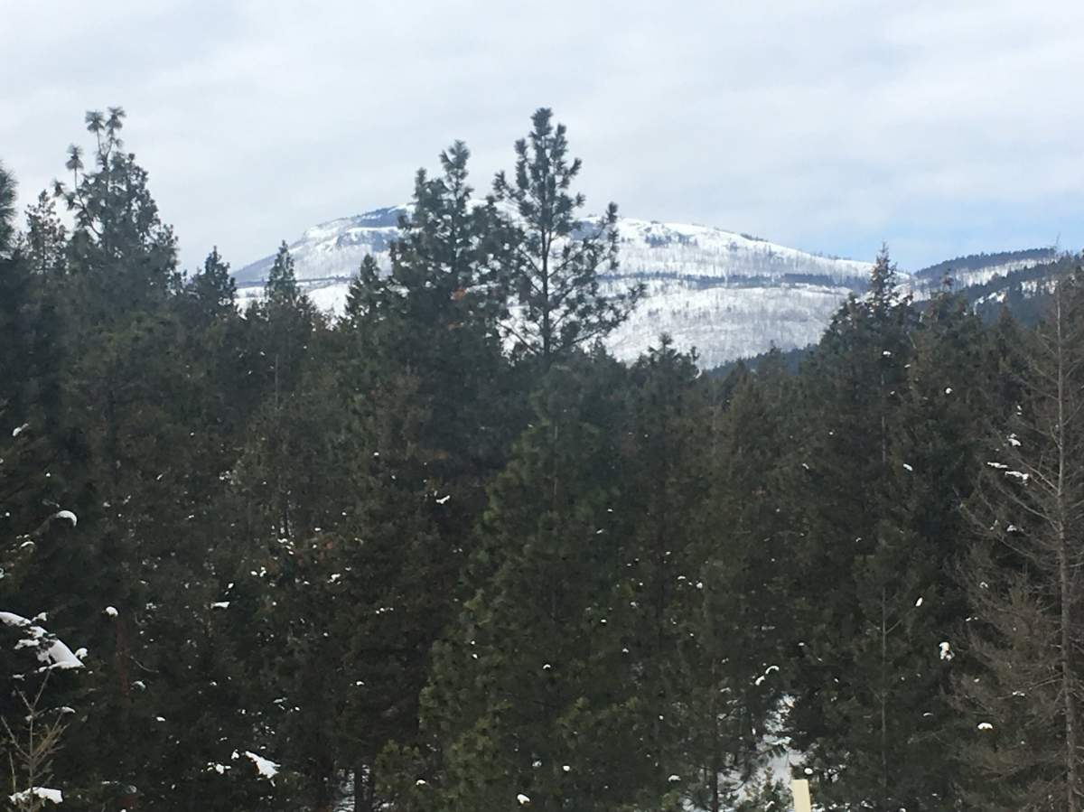 Vernon Search and Rescue confirmed around 10:00 a.m. on Tuesday that the missing snowmobilers had been located. 