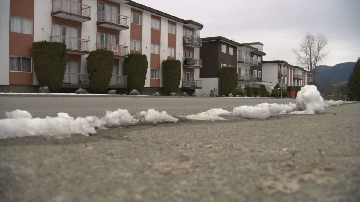 Port Coquitlam mayor Brad West says the new rules would protect tenants of rentals such as these from "predatory" landlords who jack up rents over cosmetic renovations. 