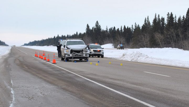 Prince Albert RCMP said the driver a truck reported stolen rammed a police vehicle on Highway 11 during a chase.