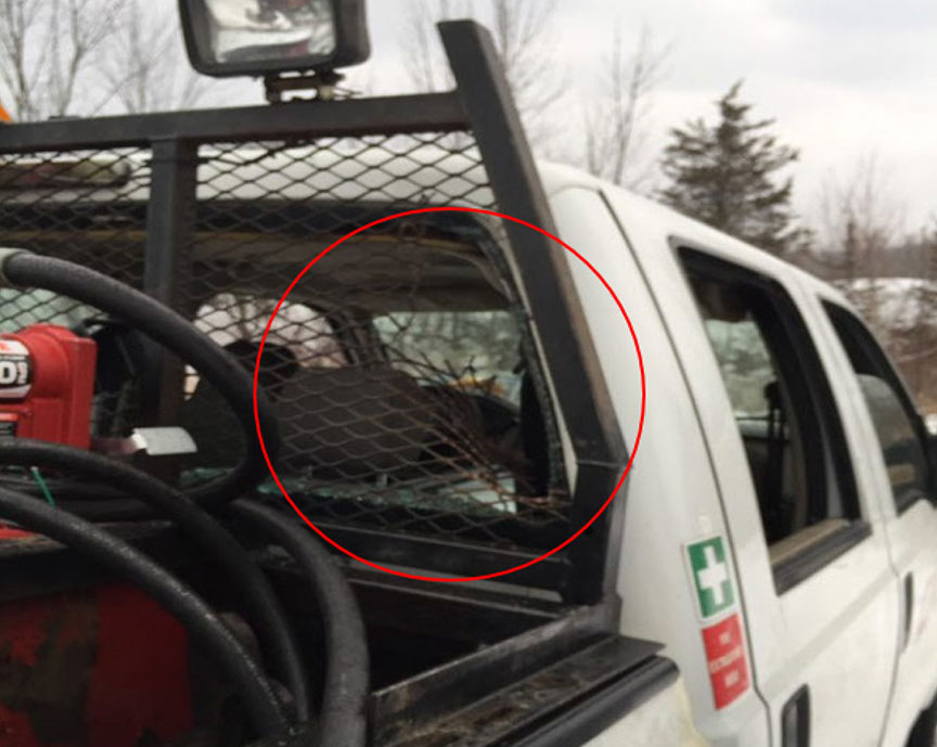 Damage due to a tie plate entering a CN hi-rail vehicle through the back window on Feb. 2, 2019.
