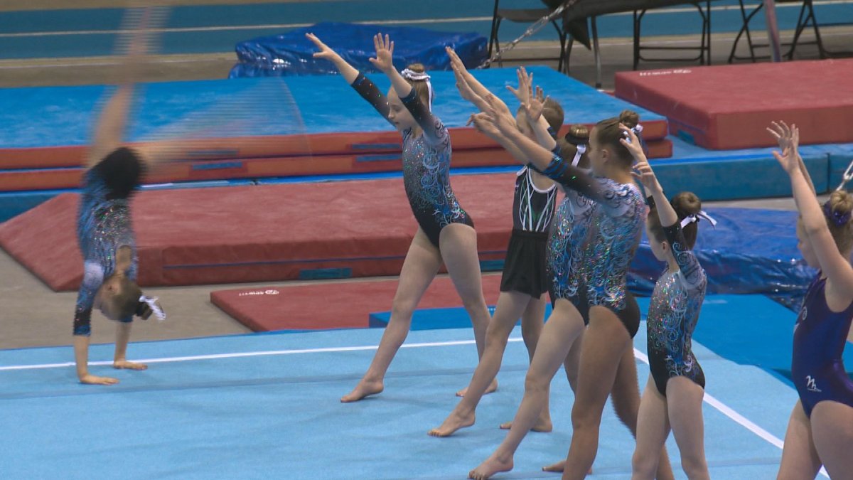 Sherwood Park's Salto Gymnastics is hoping to set a world record for the most round-offs completed in a minute.