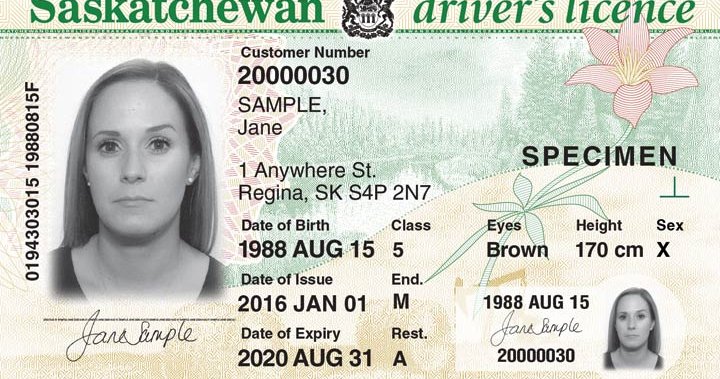 SGI offering option to leave sex designation blank on Sask. driver’s licences, photo ID