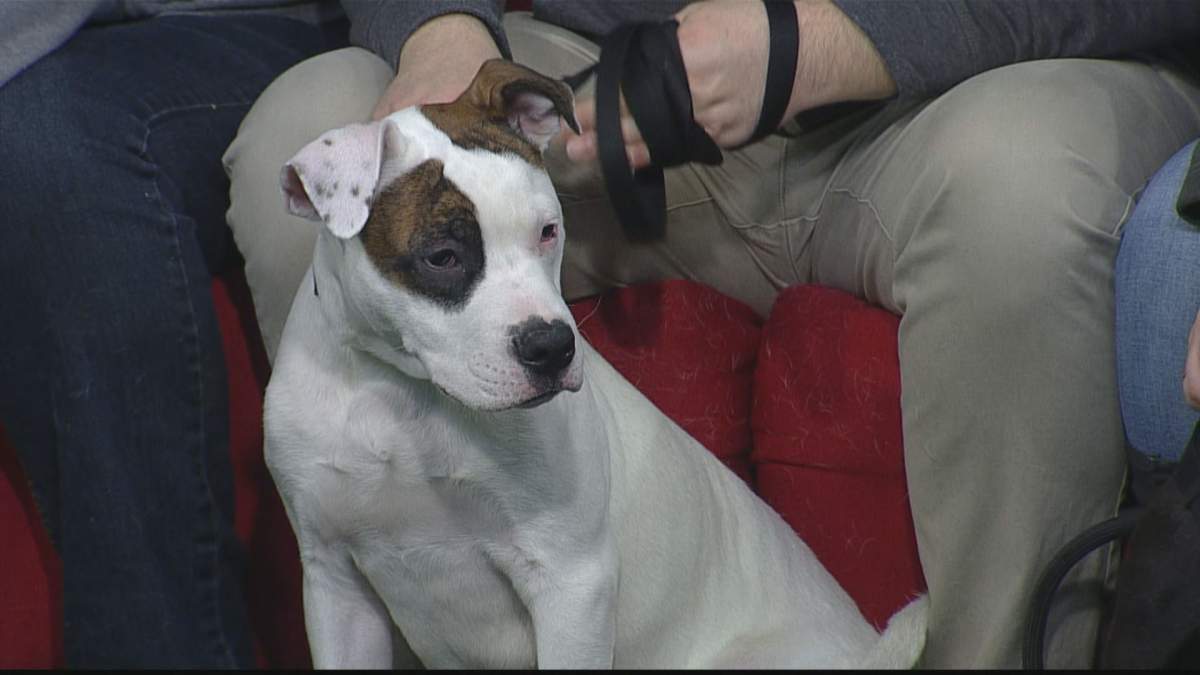 Lennon takes the time to get to know the surroundings of the Global News Morning set.