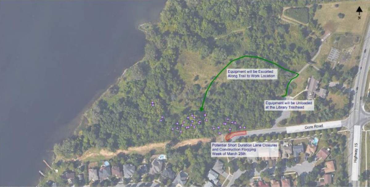 Dozens of trees will be removed to make room for the bridge access on the east shore of the Cataraqui River.