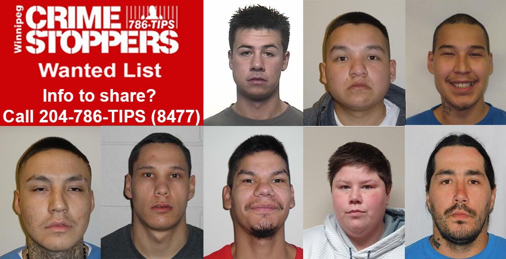 These people are wanted by Winnipeg police. 

From left (top): Brandson, Young, Hunter, (bottom) Woodhouse, Sabiston, Tataquason, Bruce, Roulette.