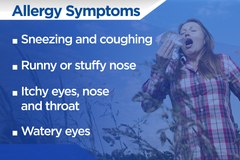 Sneezing into spring: how snow mould can affect your health - image