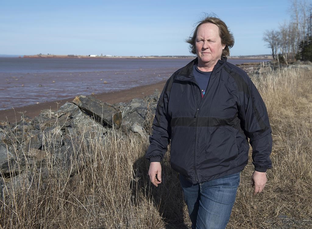 Anne Crowe, an area farmer and land owner, walks along a dike by the waters of the Bay of Fundy near Noel, N.S. on Thursday, March 28, 2019.