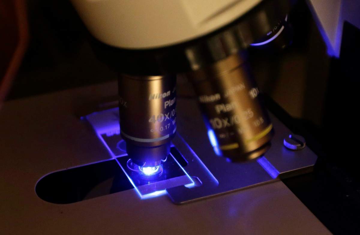 Innovative Indigenous health centre to incorporate cultural elements in fight against HIV in Manitoba and Saskatchewan - image