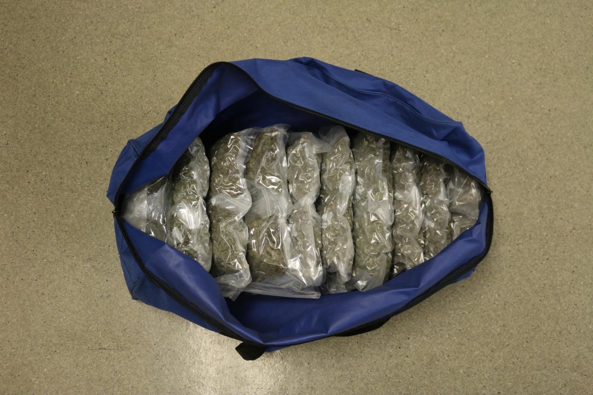 Northumberland OPP seized 13.5 kg of cannabis during a traffic stop in Brighton.