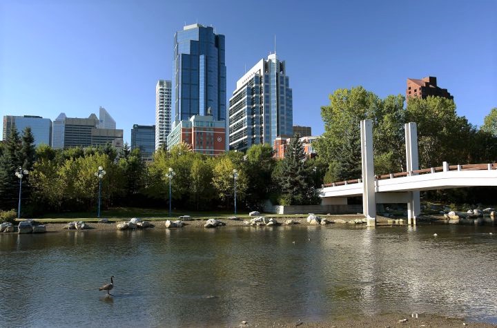 The Bow River and Eau Claire area with the downtown skyline of Calgary, Alberta visible in the background.         