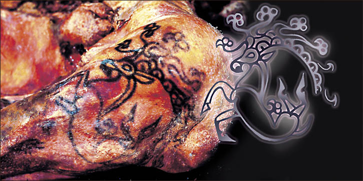 A woman uncovered in a remote Siberian grave had several elaborate tattoos, including a stylized deer. (SIBERIAN TIMES)