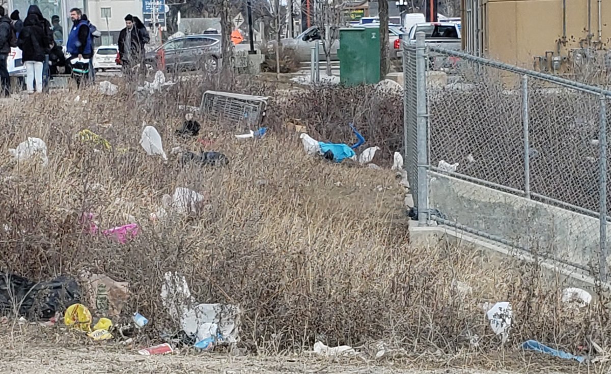 Litter at the corner of Empress Street and Ellice Avenue.