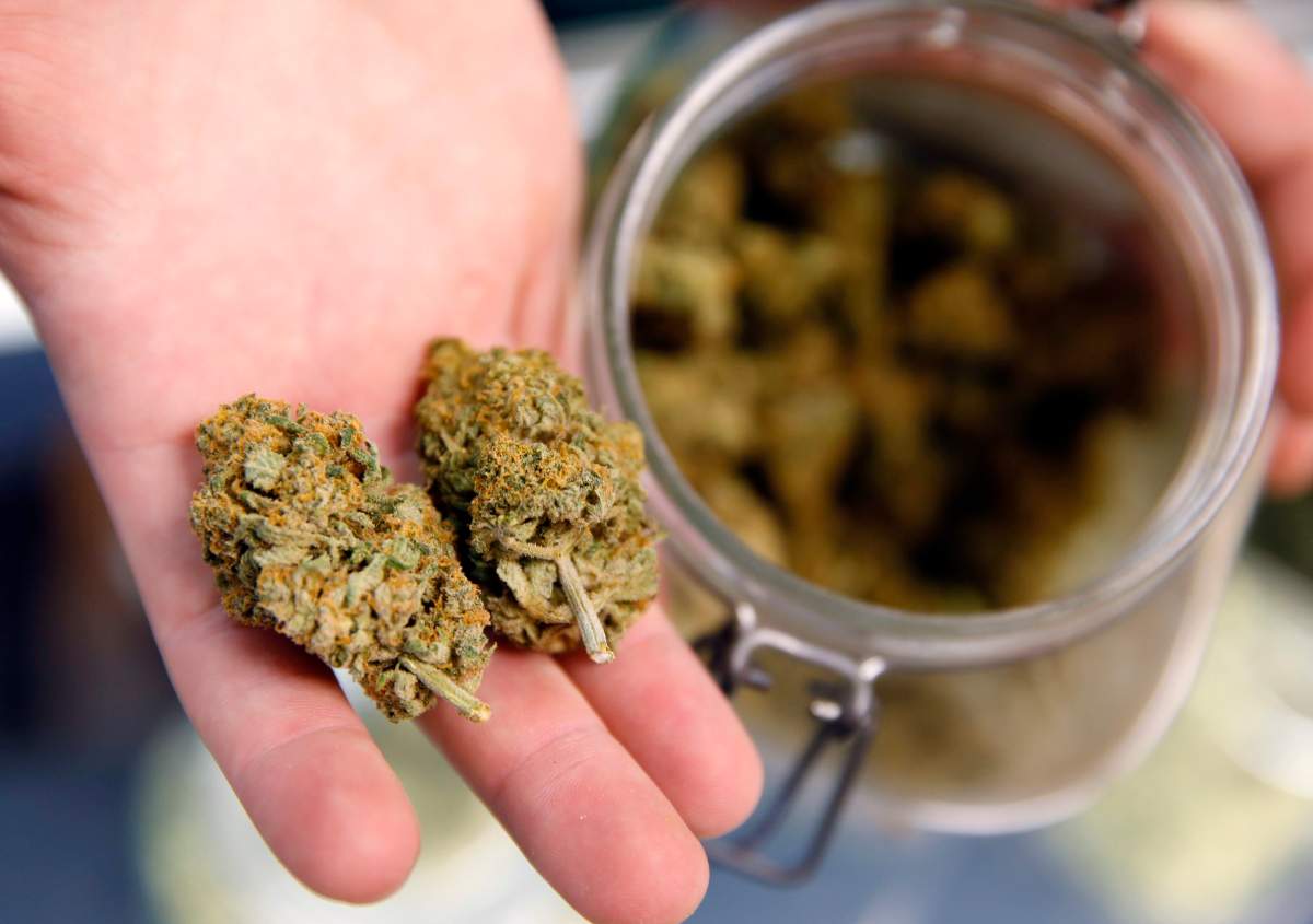 Skip the dispensary? Vancouver company offers illegal marijuana delivery  service - BC | Globalnews.ca