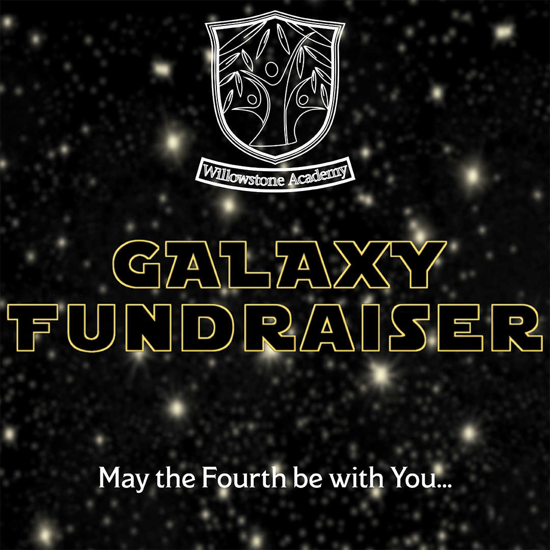 Galaxy Fundraiser - image