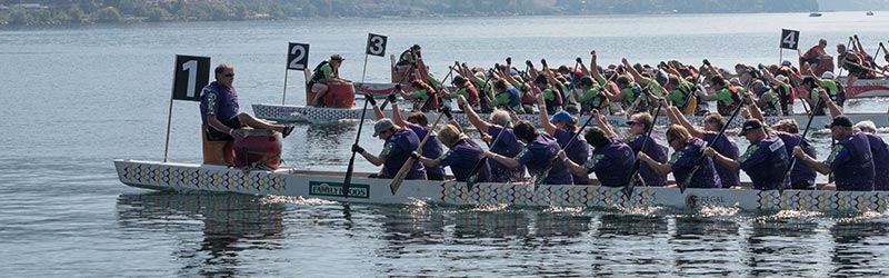 Penticton Dragon Boat Festival - image