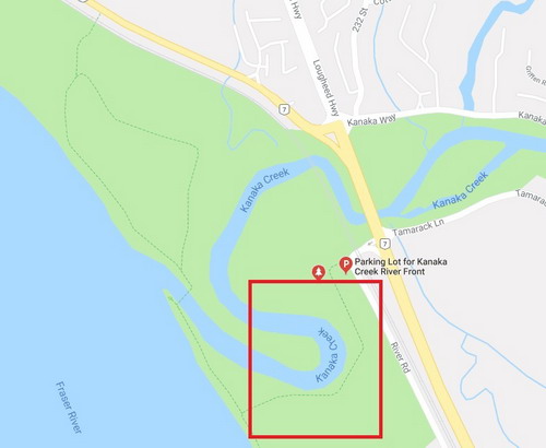 Death of woman found in Kanaka Creek Park deemed suspicious - image