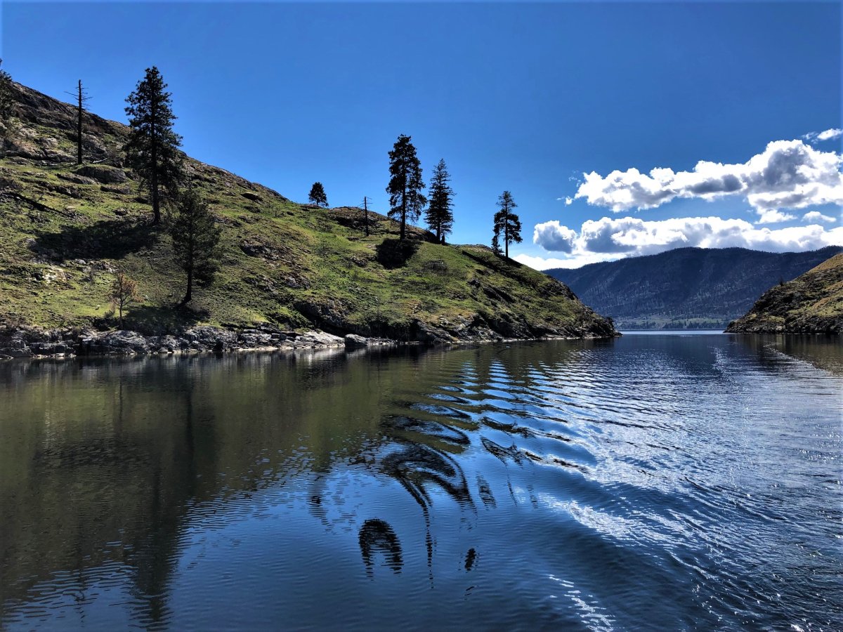 A body has been recovered after a 33-year-old Alberta man failed to resurface while cliff diving in Okanagan Lake.