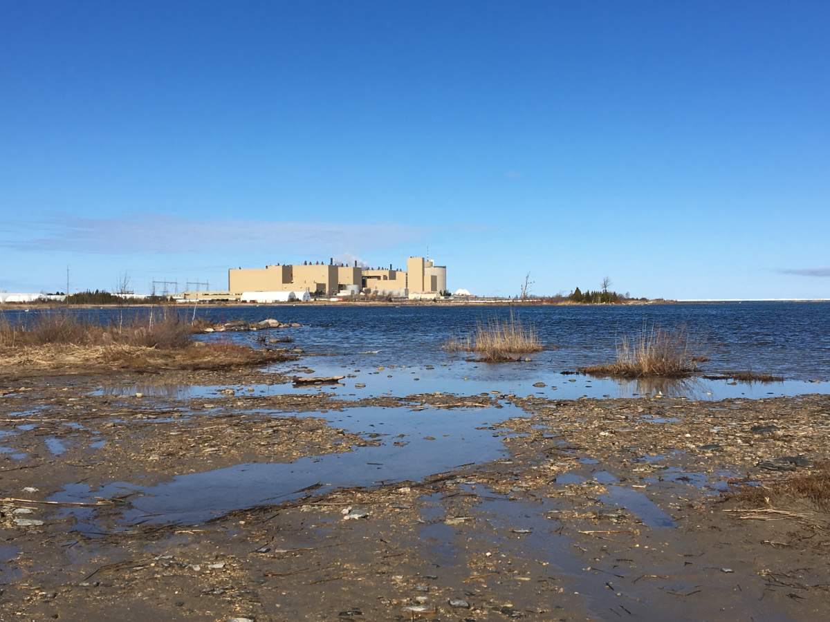 Twenty minutes south of Port Elgin in Tiverton, Ont., the Bruce Power plant is a major employer in the area.
