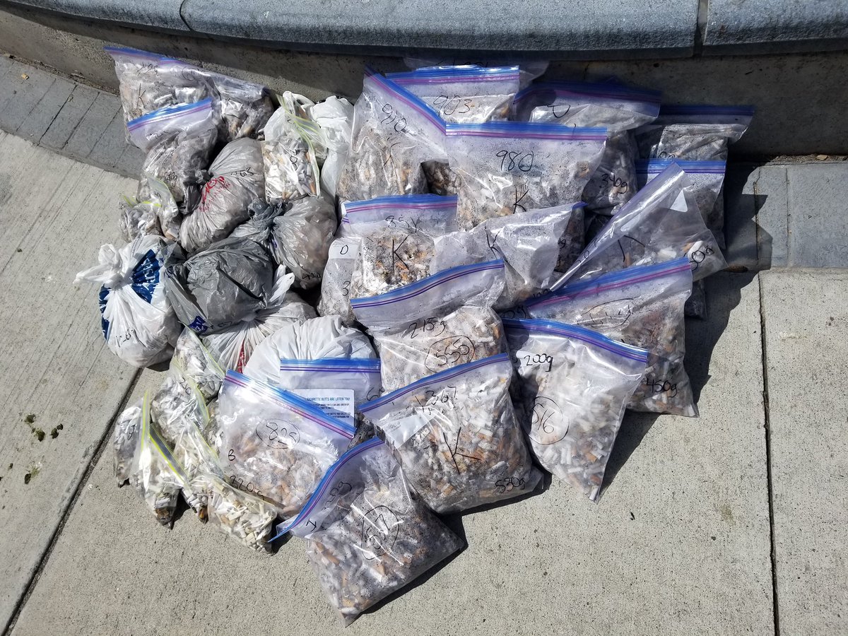 The city of Hamilton's one-day 'Butt Blitz' saw some 37,000 cigarette ends collected in the downtown area.