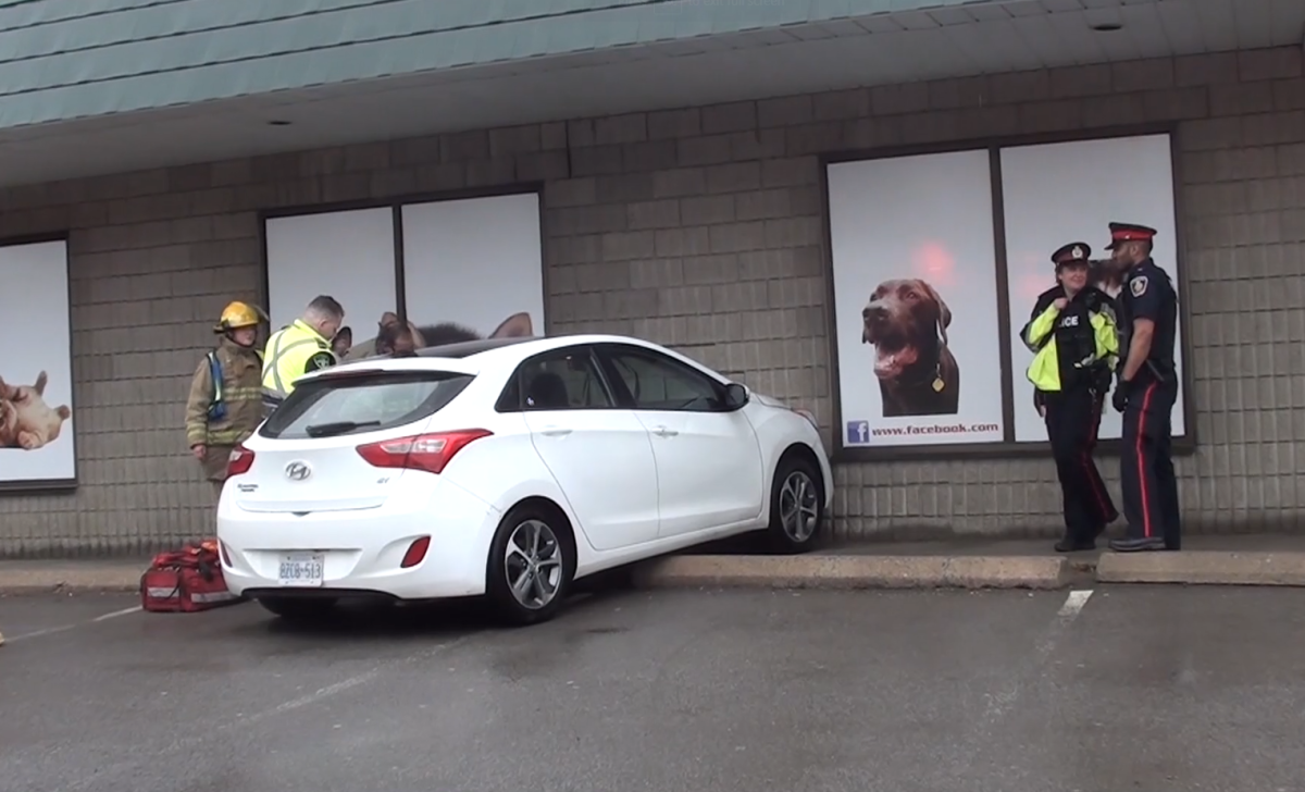 A car crashed into a pet store on Friday in Cobourg.