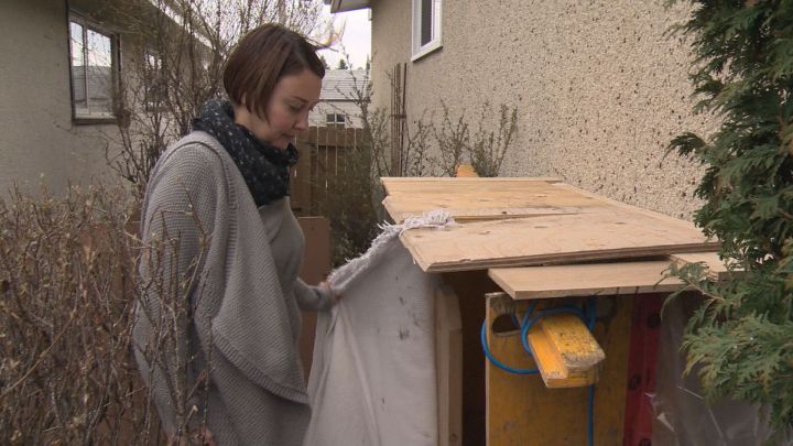 A pair of cats that had been stuck in a deep east Edmonton sinkhole since Good Friday are finally out, according to the homeowner whose property the sinkhole is home to.