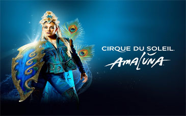 Cirque du Soleil Amaluna  - image