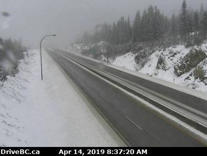 DriveBC web cams show a snow covered Coquihalla highway on Sunday morning. 11 centimeters of snow fell on the summit overnight. 