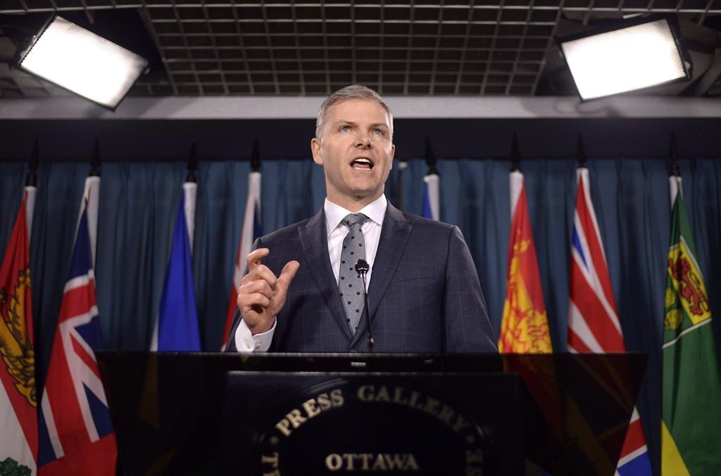 Tim McMillan, Canadian Association of Petroleum Producers President and CEO, speaks during a press conference on Parliament Hill in Ottawa on Monday, Feb. 26, 2018. The Alberta oilpatch is applauding the election of United Conservative Party leader Jason Kenney in Tuesday's provincial election.THE CANADIAN PRESS/Justin Tang.