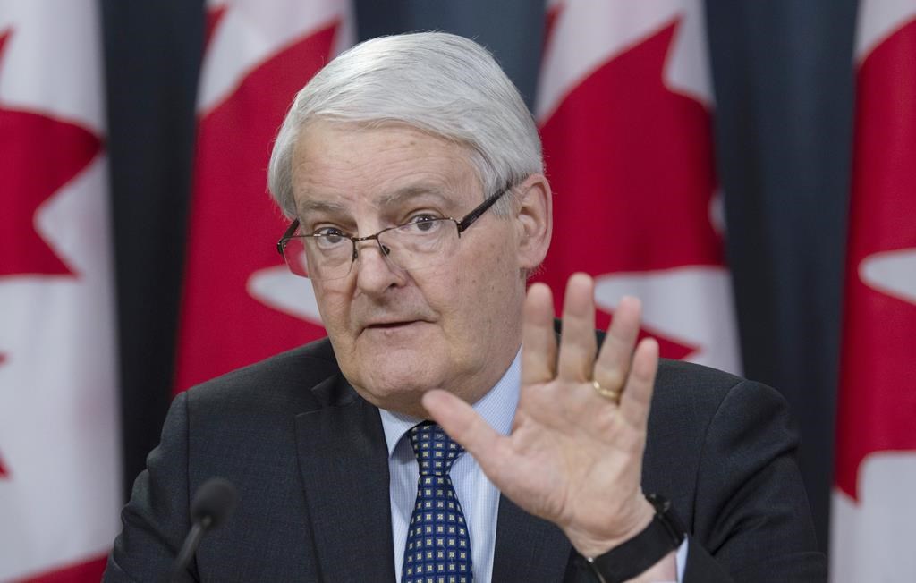 Transport Minister Marc Garneau speaks during a news conference in Ottawa, Wednesday March 13, 2019.