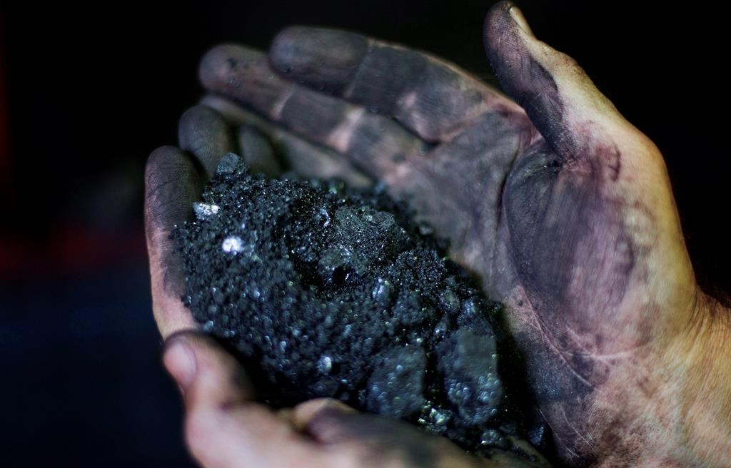 A coal miner, holds coal running through a processing plant in Welch, W.Va. on Oct. 6, 2015.