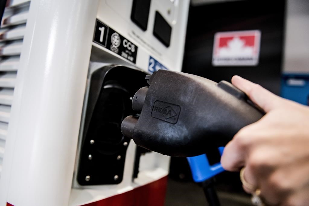 Petro Canada’s electric vehicle charging station is shown on display at the Canadian International Auto Show in Toronto on Feb. 14, 2019. The electric vehicle road trip is becoming a practical reality as an increasing number of players work to close gaps in Canada’s fast-charger networks. THE CANADIAN PRESS/Christopher Katsarov