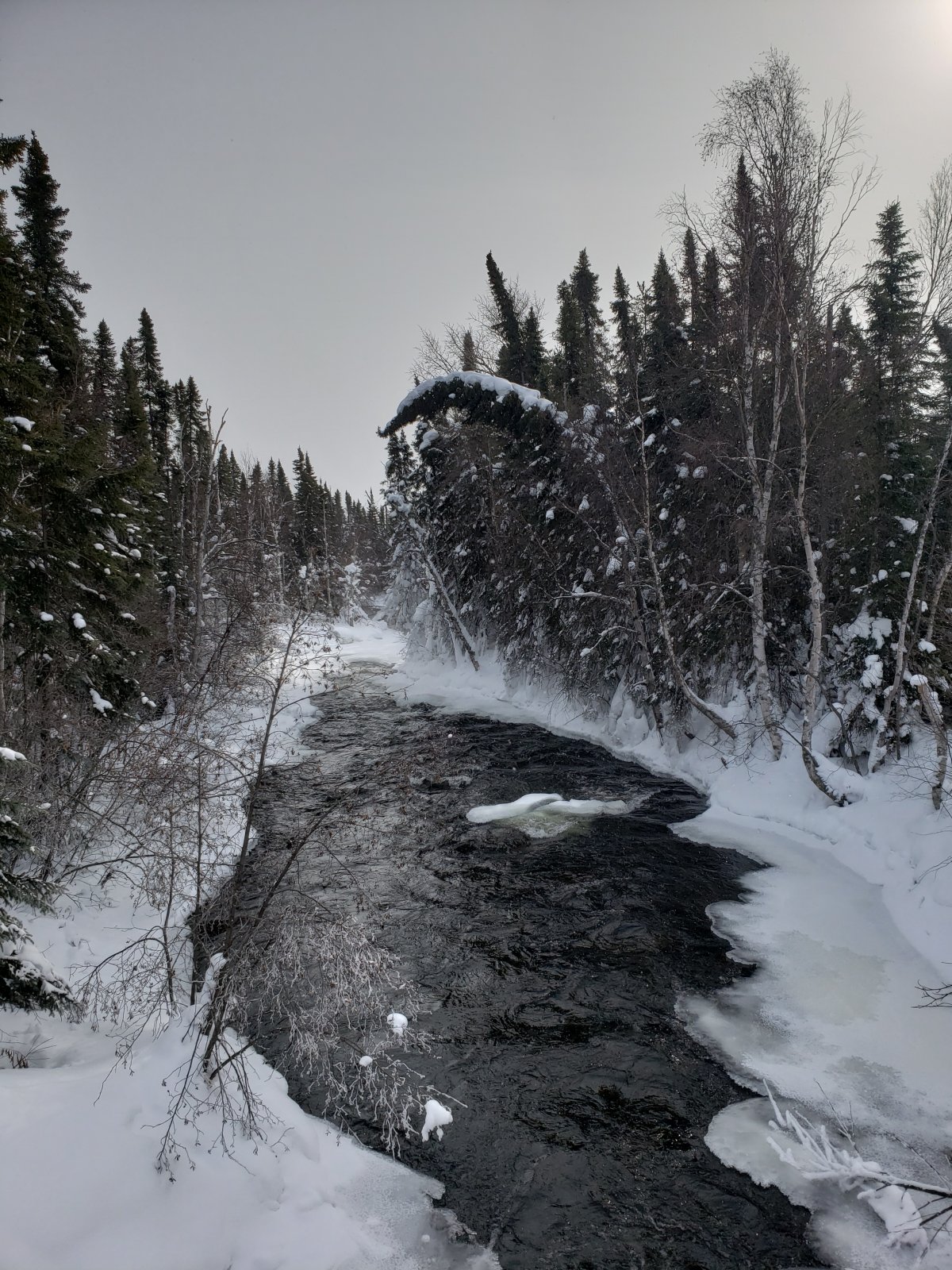 Best of ‘Your Manitoba’ photos in March 2019 Winnipeg Globalnews.ca