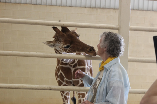 Anne Innis Dagg with a giraffe.