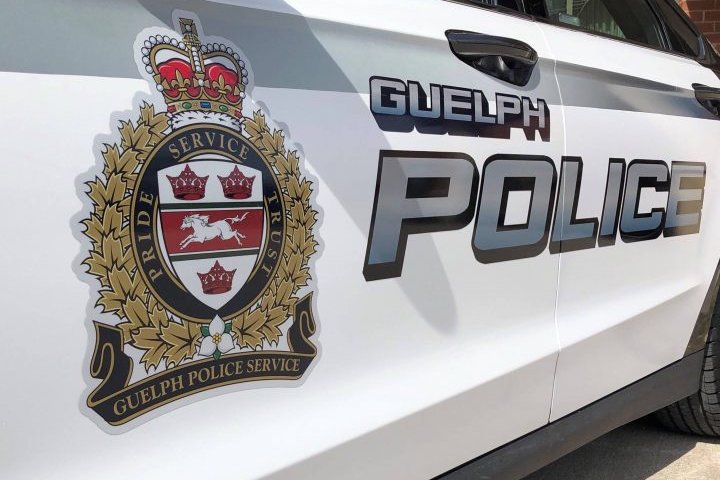 Guelph police seek minivan believed to be involved in hit-and-run