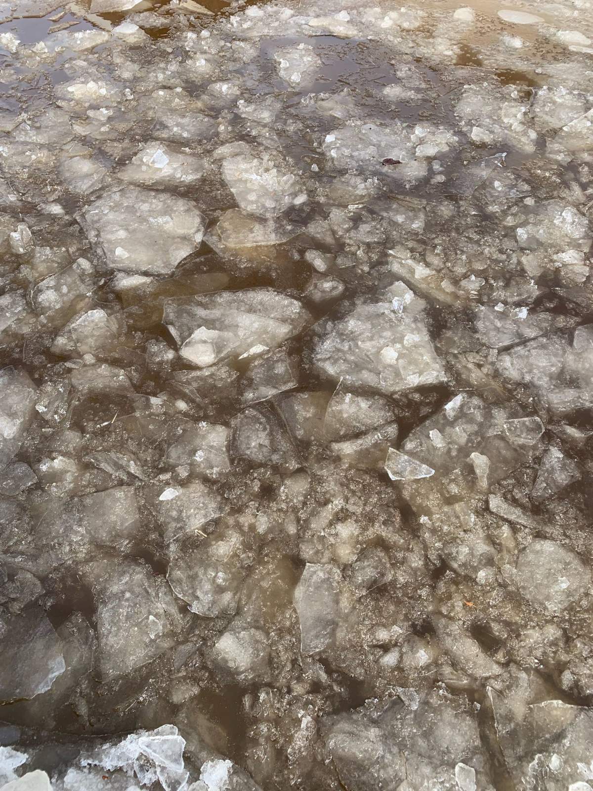 A close up of the ice chunks in the back lane of a St. James neighbourhood.