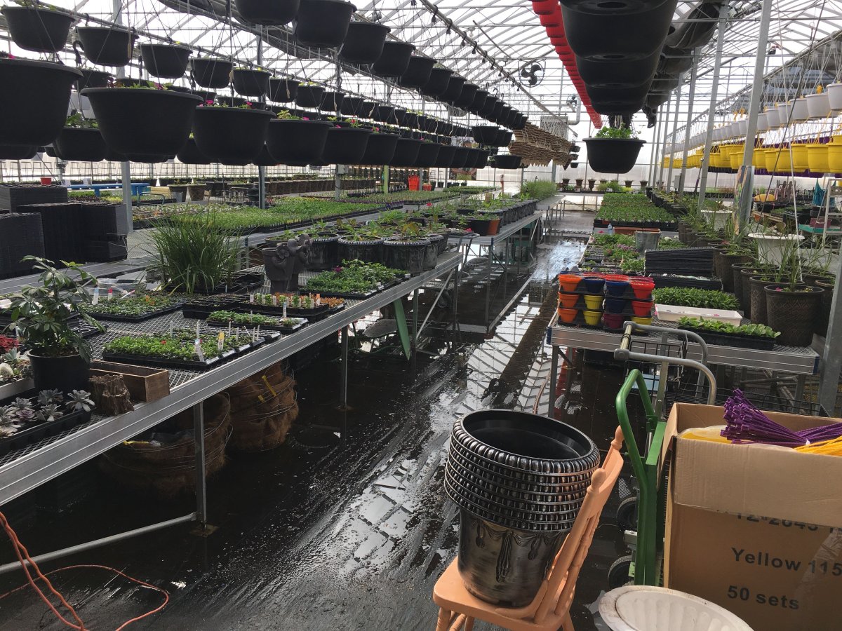 IN PHOTOS Spring runoff floods Morinville greenhouse Edmonton