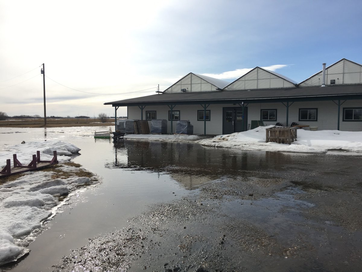 In Photos Spring Runoff Floods Morinville Greenhouse Edmonton Globalnews Ca