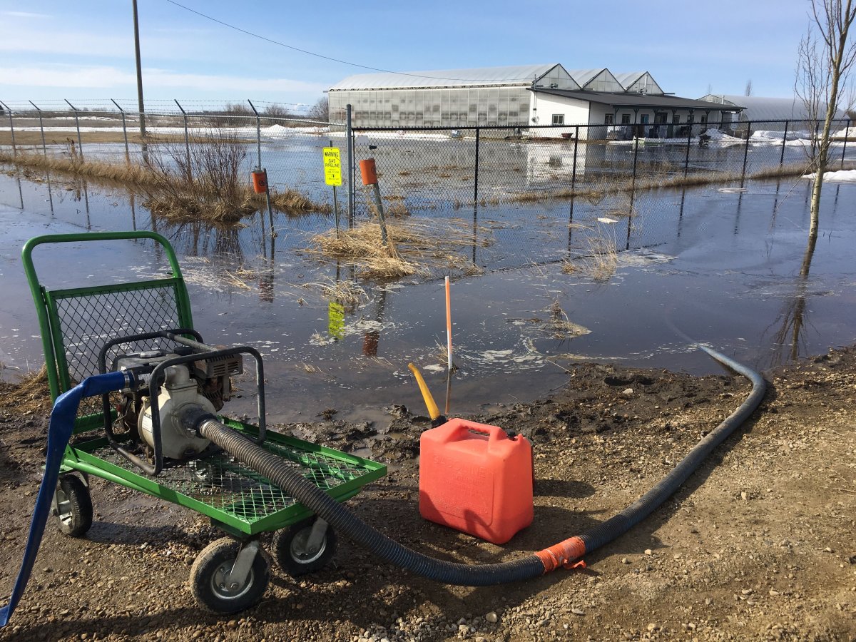 In Photos Spring Runoff Floods Morinville Greenhouse Edmonton Globalnews Ca