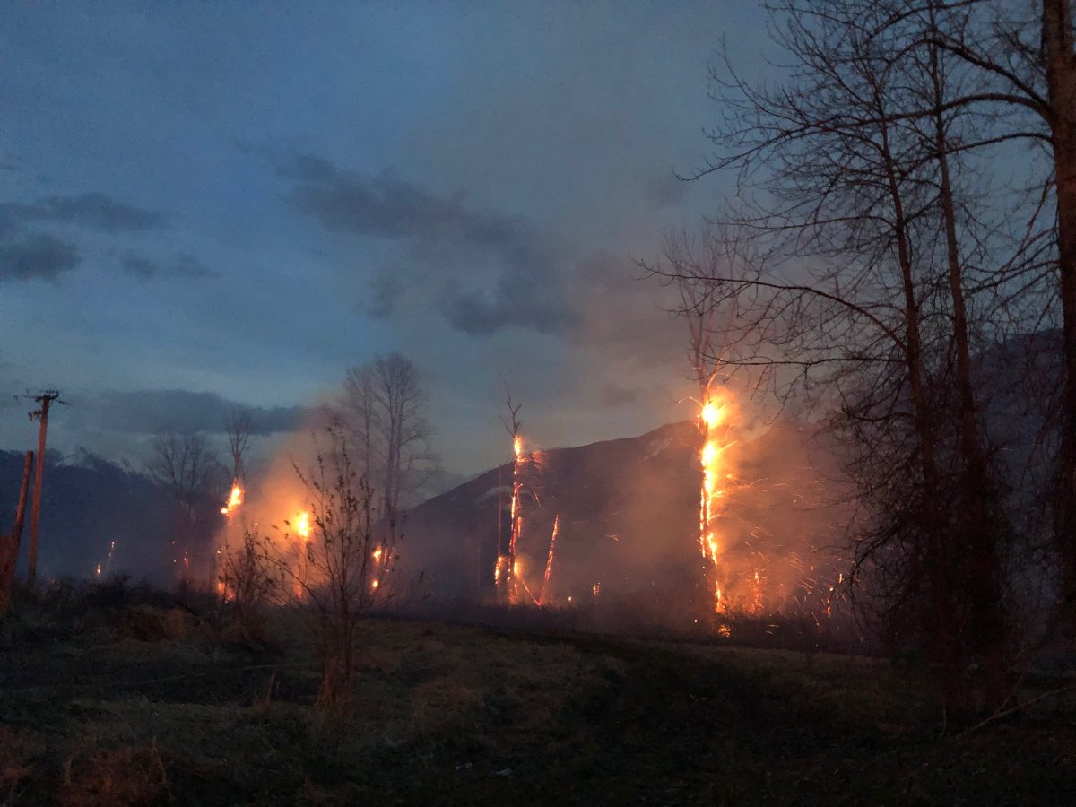 Mount Currie wildfire near Pemberton grew to 50 hectares on Tuesday evening.