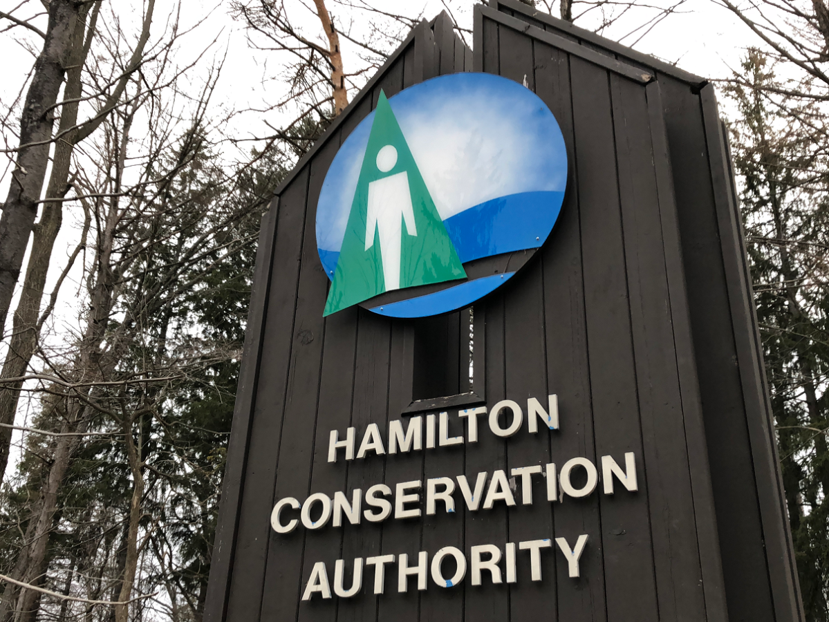 The Hamilton Conservation Authority board