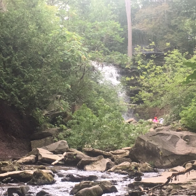 Funding cuts from the province means ths Hamilton Conservation Authority will lose watershed protection grants.