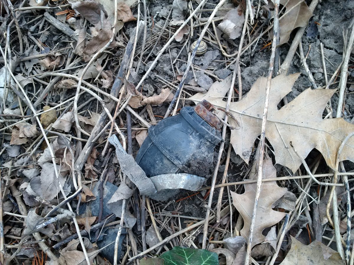 Canoes and grenades are among the weirdest trash items found in Toronto parks - image