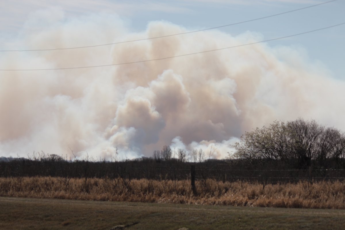 Wildfire prompts state of emergency in Biggar, Sask. area | Globalnews.ca