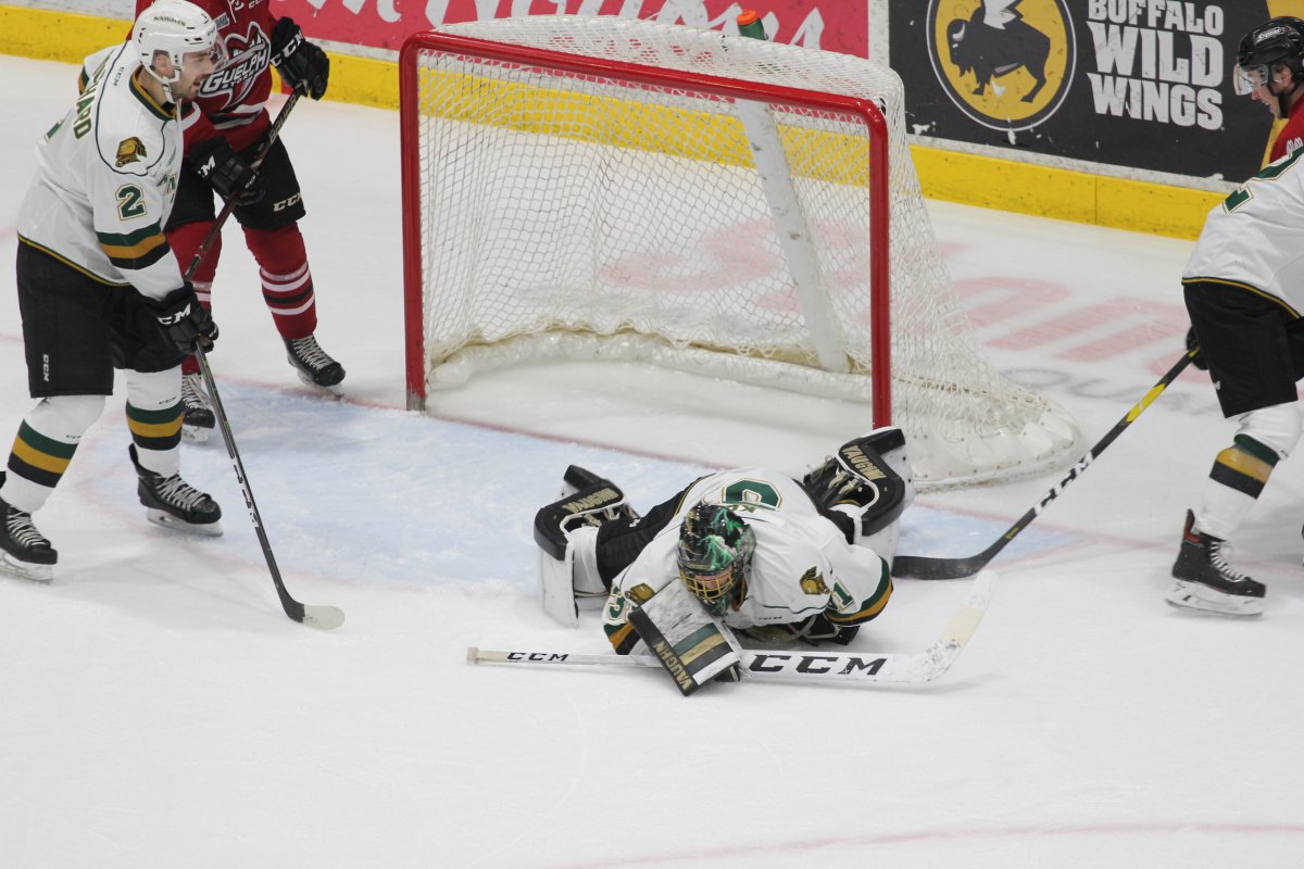 Guelph, Ont. - London Knights goalie Jordan Kooy dives out of his net to cover a loose puck in a 7-4 Knights win over the Guelph Storm in Game 3 of their second round series at the Sleeman Centre on April 8, 2019.